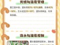墨兰花期管理要点（打造优美花坛，赏墨兰花海）