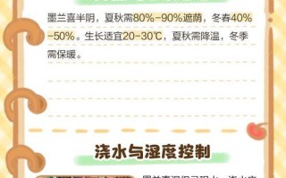 墨兰花期管理要点（打造优美花坛，赏墨兰花海）
