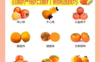 深入了解柿子成熟的时间和方法（挑选最佳收获的时间和技巧）