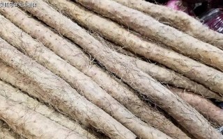 山药种植指南（选择合适的季节，让山药收获满满！）