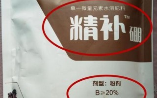 佛手瓜喜肥的肥料及施肥方法（打造肥美佛手瓜，这些你必须知道的喜肥秘籍）