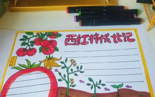 番茄的生长特性与种植技巧（探究番茄的生命历程与栽培方法，为你的番茄园提供优质果实）