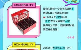 假樱桃真相揭秘（了解假樱桃的真实面目，从室内养植开始）