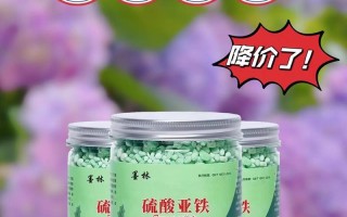 茶花养护指南（如何正确施用硫酸亚铁，让茶花生机勃勃）