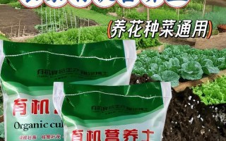 网上购买营养土能否直接种花？（了解营养土的使用方法，让你种出美丽的花儿）
