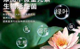睡莲烂叶子的原因及处理方法（水生植物疾病的防治技巧）