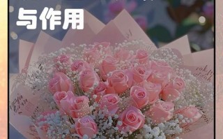 满天星的花语之不同颜色的含义（解读满天星不同颜色所蕴含的花语，揭示情感和心情）