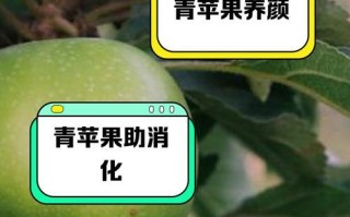 青苹果叶子边缘干枯的处理方法（保护苹果树叶子边缘免受干燥影响的关键措施）