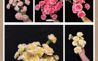 多头康乃馨插花艺术（用多头康乃馨打造独特花束，让自然之美绽放）