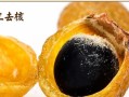 以老无患子，赋予新生命（用老为主题，书写新篇章）
