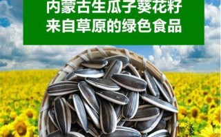 瓜子的生长过程详解（从哪里长出来？长在什么地方？）