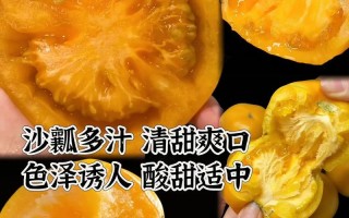 柿子和西红柿的异同点剖析（你以为它们一样？详解真相）