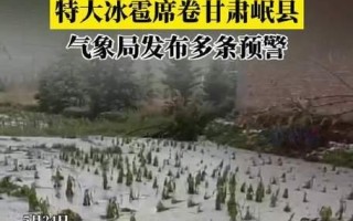 探究甘肃盛产的农作物（从黄河流域到丝绸之路，解析甘肃农业发展的特色）
