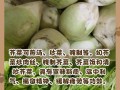 芥菜的四季之美（品味春夏秋冬，享受芥菜的不同滋味）