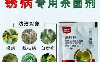 花生炭疽病的防治方法（探究花生炭疽病的发病原因及有效治疗方法）