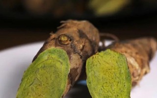 生姜的好处和吃法（生姜能直接吃吗？生吃好处多）