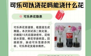 绿萝的神奇浇水方法（雪碧与绿萝的完美搭配）