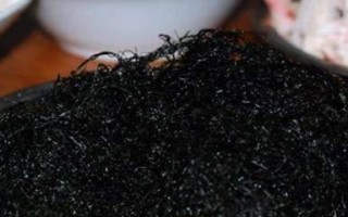 揭秘发菜——一种神奇的海藻植物（探究发菜的种类、产地及食用功效）
