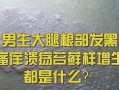 苔藓发黑的原因及处理方法（了解苔藓为什么会变黑以及如何解决）