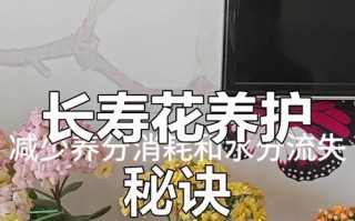 如何给所有花儿施肥（有效施肥方法和技巧，提升花卉的生长）