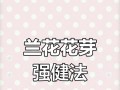 兰花的养护技巧（让你的兰花长势旺盛的关键）