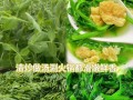 以碗豆尖怎么发——一种美味佳肴的制作与享用方法（探秘碗豆尖的食用魅力及独特口感）