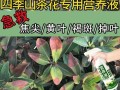 山茶花落叶怎么办？赋予你的花园恢复新生的方法（轻松应对山茶花落叶的秘诀，让你的花园绽放生机）