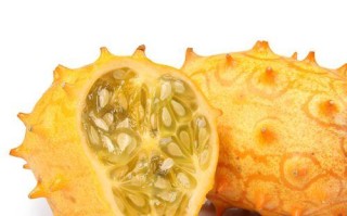 火参果种子留取方法（掌握种子留取技巧，让火参果再生新生命）
