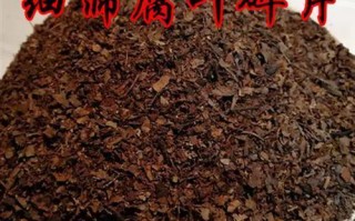 以养君子兰的腐叶土制作方法（制作君子兰专用腐叶土的步骤与技巧）