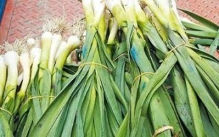 蒜苗可以生吃吗？——揭秘蒜苗的营养和食用方法（你所不知道的蒜苗）