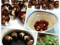 如何让龙眼发芽速度变快（实用技巧助力龙眼发芽，尽早收获美味果实）