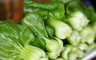 小白菜可以生吃吗？（小白菜的营养价值和注意事项。）