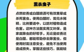 有效防治多肉腻虫的方法（轻松摆脱多肉腻虫的困扰，保护多肉植物的健康成长）