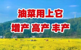 油菜壳肥料的利与弊（可循环利用的生态肥料）
