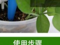 快速生根粉浇花使用方法详解（科学浇水，让花草根系更稳固）