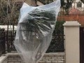 盆栽保暖全攻略（冬天如何给盆栽提供适宜温度）