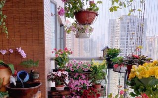 阳台朝北，适合养这些花（打造清新自然的北向阳台花园）