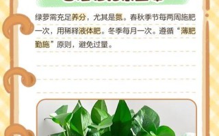 绿萝叶发黄的原因及应对方法（保持绿萝健康的关键是什么？）