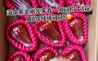 莲雾籽能否食用？真相大揭秘！（有关莲雾籽的疑问一一解答，享受莲雾的美味与健康！）