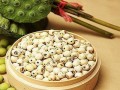 莲子生芽的好处与食用方法（探讨莲子生芽的营养价值及美食分享）