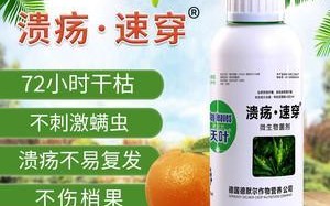 治疗柑橘黄叶病的药物选择（探寻药物治疗柑橘黄叶病的有效方案）