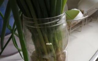 切好的葱花可以冷冻保存吗？（教你正确冷冻葱花的方法）
