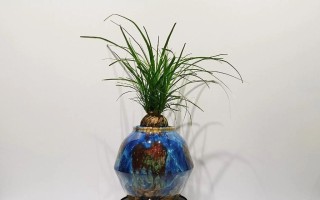 啤酒兰的养殖技巧（打造美丽的啤酒兰花园，让你的生活更有情趣）