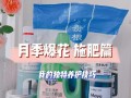 十一月份月季施肥指南（打造美丽花园的秘诀，十一月份月季施肥攻略）