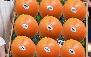 西柚的成熟与上市（时令水果、品质保障、营养丰富）