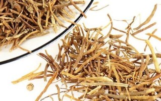 龙胆草的功效与作用（天然养生好帮手，龙胆草如何助力健康？）