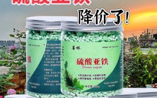 茶花与硫酸亚铁的关系（探究茶花是否能浇硫酸亚铁）
