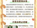 浇水技巧之以鹅掌藤为例（优雅的湿润生活方式与养护方法）