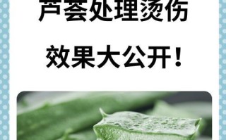 芦荟叶子的妙用与保健功效（探秘芦荟叶子的奇迹——从药用到美容，它都能胜任！）