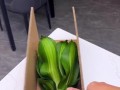 如何正确养护巴西铁植物（打造健康繁茂的巴西铁，关键在于养护技巧）